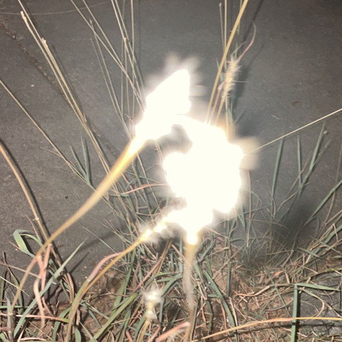 2hollis & kasper gem - is it real cover art